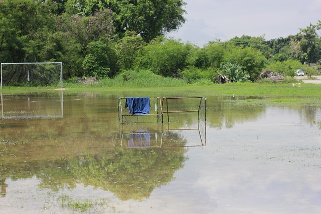 和发展具有 和发展具有