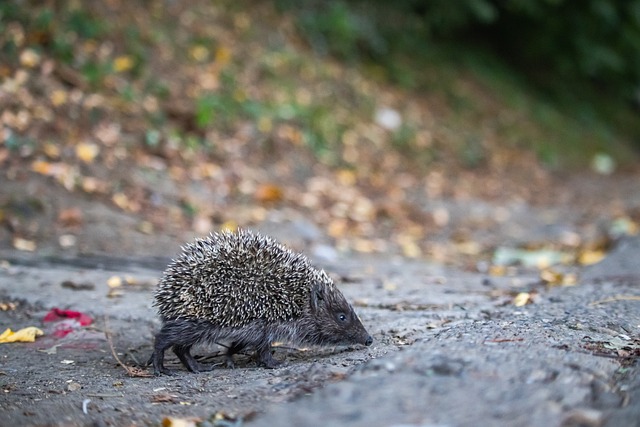 业生涯和影 业生涯和影