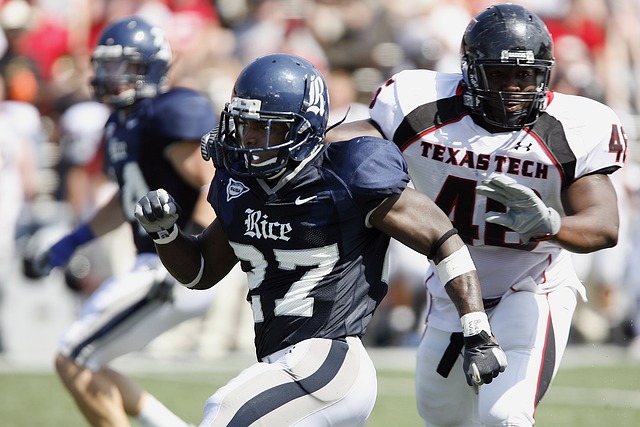 马国力主任 马国力主任