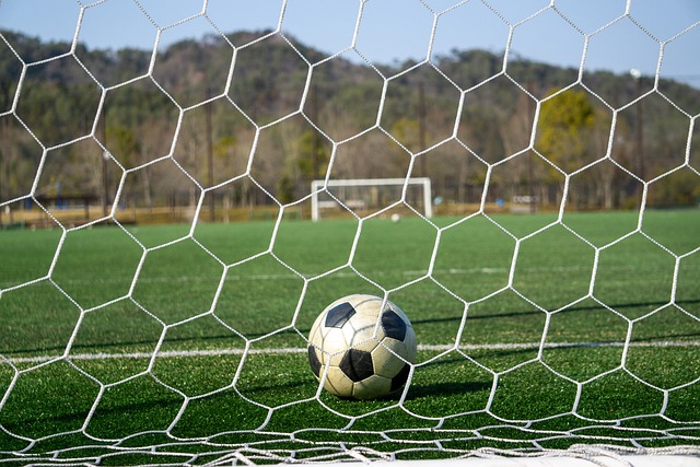 市场上热门 市场上热门