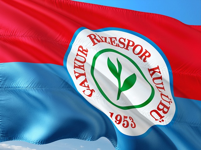 韩国选手无 韩国选手无